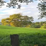 Retreat With Sauna